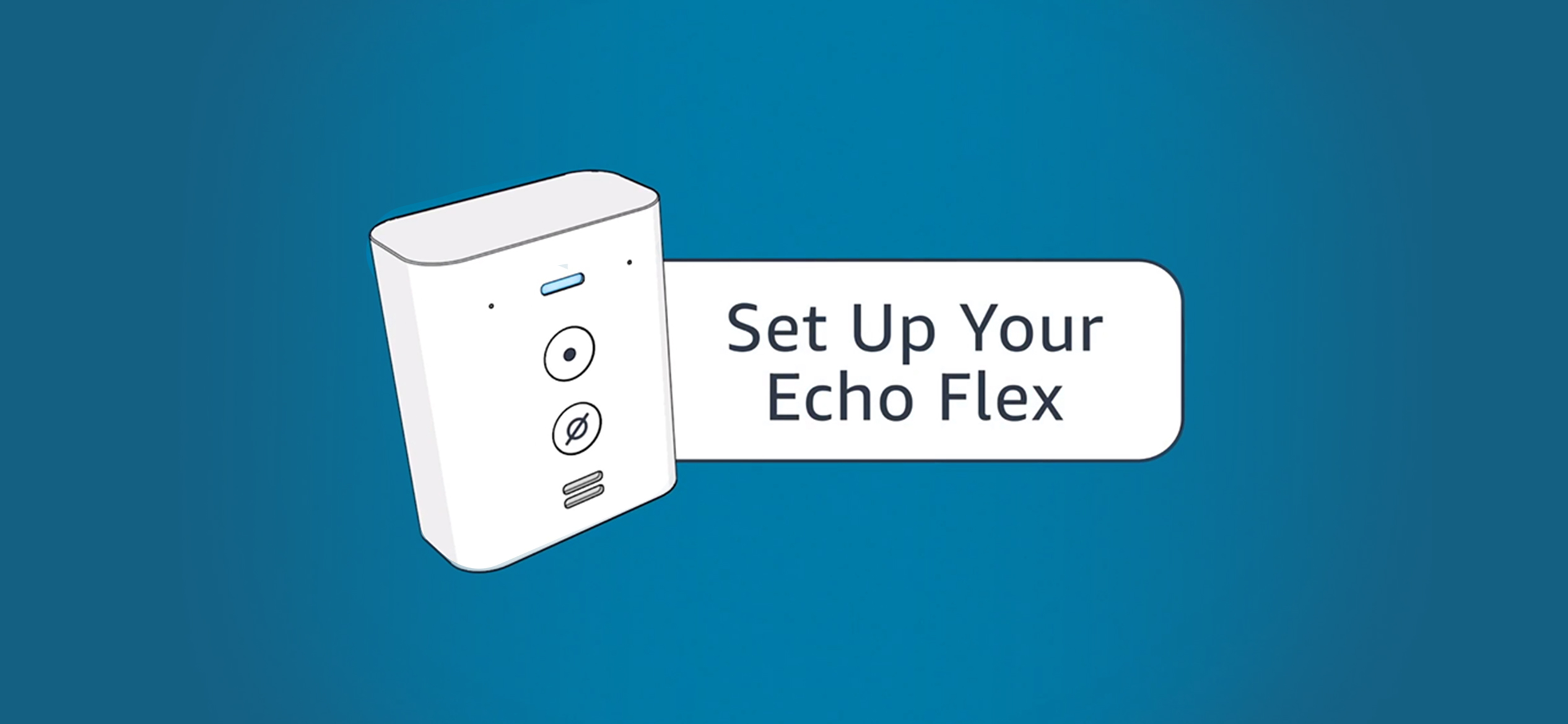 Amazon Echo Flex